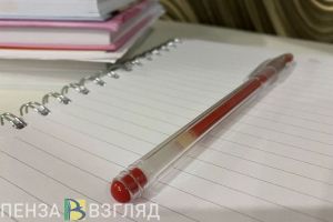 Пензенцы узнали о предложении ввести единый стандарт нагрузки для школьников