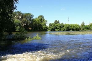 В Пензенской области спасатели оказали помощь травмированной на водоеме девушке