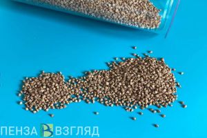 В Кузнецке продавец торговой точки инсценировала ее ограбление