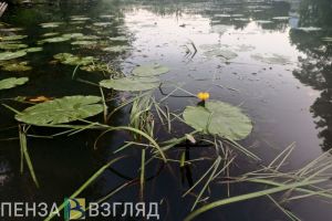 В Пензе и области в среду прогнозируют 30-градусную жару