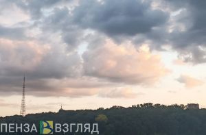 Пензенцам напомнили действия при обнаружении беспилотника