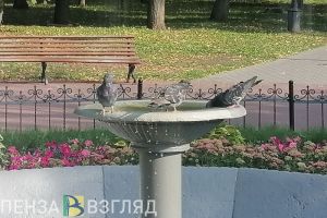 1 сентября пензенцев ждет летняя погода