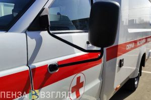 В Пензенской области завершили расследование смерти 12-летней девочки от вируса