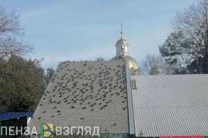 2 сентября в Пензенской области ожидается +29 градусов тепла