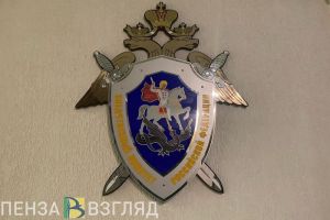 Бастрыкин поручил пензенскому Следкому представить доклад после обращения вдовы