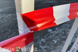 Появилось видео чемодана, из-за которого в Пензе перекрывали Сурский мост