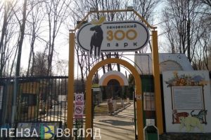 Пензенцы могут нарваться на мошенников перед походом в зоопарк
