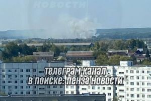 Под Пензой загорелась трава на площади 500 квадратных метров