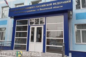 В Пензенской области возбудят уголовное дело по поручению Бастрыкина