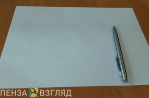 В Пензенской области Шпигеля и Федора Федотова лишили наград и благодарностей