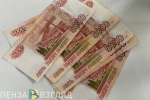Пензенский мошенник нанес государству ущерб в 5,8 млн рублей