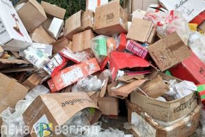 Пензенцы жалуются на тлеющую свалку на Осенней улице