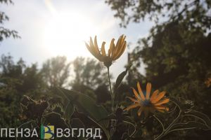В Пензенской области ночью температура воздуха опустится до +2 градусов