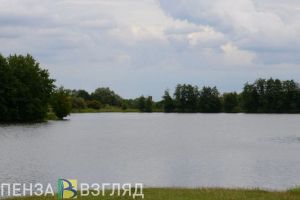 Администрация Городищенского района незаконно продала природный участок
