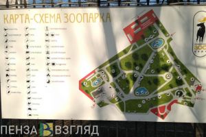 В пензенский зоопарк доставят пушистую корову за 200 тысяч рублей