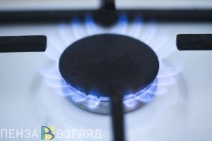 Пензенец задолжал за газ свыше 800 тыс. руб. из-за «неровной пломбы на счетчике»