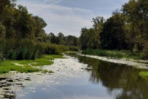 Пензенские волонтеры очищают русло Старой Суры