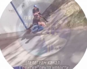 Соцсети: драка возле кафе на ул. Чаадаева в Пензе могла случиться из-за собаки