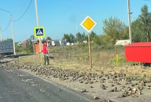 Возле Сердобска дорогу засыпало свеклой