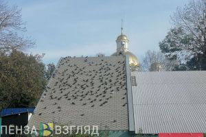 За сутки температура в Пензенской области вырастет на 21 градус