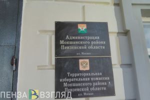 Известны предварительные итоги выборов в Мокшане
