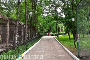 Пензенцы могут принести ягоды для животных в городской зоопарк