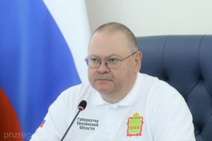 Пензенская область в пятерке лидеров нацпроекта «Безопасные качественные дороги»