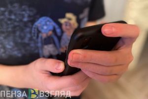 Два жителя Пензенской области на трое суток оставили село без интернета