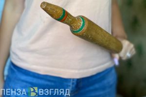 Обиженная жительница Башмаковского района ударила сожителя скалкой по голове