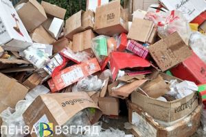 Под Пензой вновь загорелся полигон с мусором