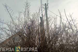 Житель Кузнецкого района пошел на преступление ради бензопилы