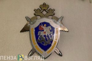 Бастрыкин поручил представить доклад о нарушении жилищных прав пензенцев