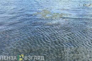Следователи проводят проверку после смерти парня в пруду Шемышейского района