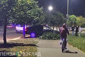В Заречном автомобиль вылетел на тротуар и врезался в дерево