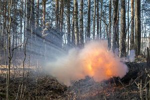 В Пензенской области начались плановые учения Росгвардии