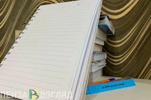Более 2,5 тысяч пензенцев зарегистрированы в качестве самозанятых