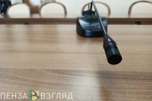 Избраны заместители председателя Пензенской городской Думы