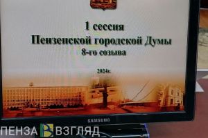 Стали известны составы профильных комиссий в Пензенской городской Думе