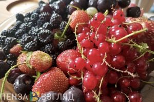 Пензенской области выделят деньги для помощи аграриям после заморозков