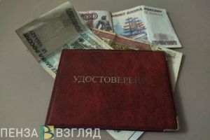 Пенсионерам в Пензенской области предложили выплачивать 13-ю пенсию