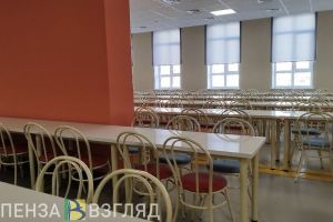 В одной из школ Наровчатского района детям не выдавали горячее питание