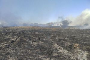 18 пожарных ликвидировали огонь на площади 3 гектара в районе улицы Рузляева