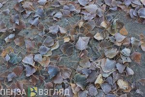 В Пензенской области в ближайшие 3 дня ожидаются ночные заморозки