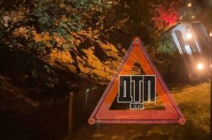 В Пензенской области водитель попал в ДТП, спасая кошку