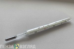 В школе Кузнецка зафиксировали всплеск ОРВИ