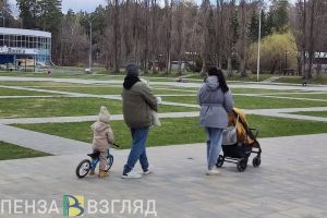 Пензенцы узнали о законопроекте по поддержке студенческих семей