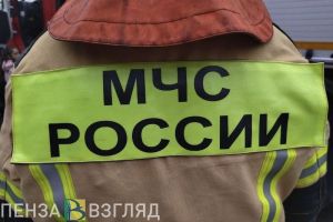 В Пензенской области сохраняется чрезвычайная пожарная опасность лесов