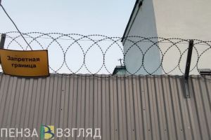 Пензенцев хотят жестче наказывать за оскорбление властей