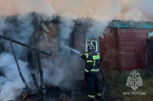 В пожаре в Нижнеломовском районе пострадал 42-летний мужчина
