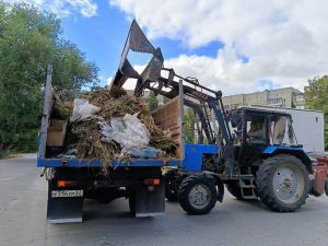В Железнодорожном районе Пензы ликвидировали стихийные свалки